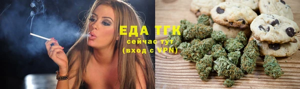 дурь Бородино