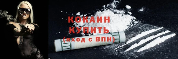 дурь Бородино