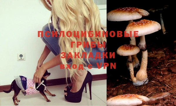 дурь Бородино
