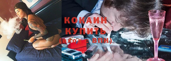 дурь Бородино