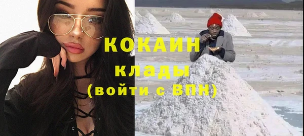 дурь Бородино