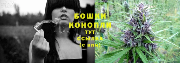 дурь Бородино